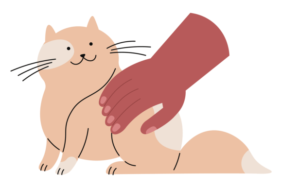 Lovely Cat with Human Hand. Pet Care Dra